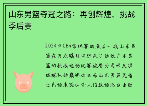山东男篮夺冠之路：再创辉煌，挑战季后赛